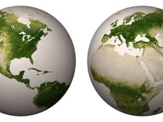 Salty Ocean Water May Help Green Deserts