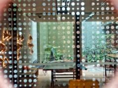 Cap and Trade / Carbon Tax Explained