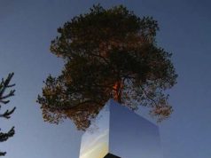 Just What Does MESHed Architecture Look Like Anyway?